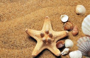 Photo Model 5 300x196 1