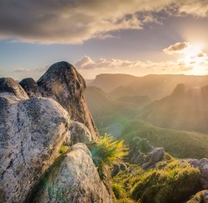 Portfolio Model 6 300x293 1